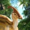 星空传媒官方破解版